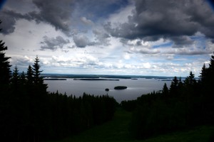 143_np_koli_i.jpg